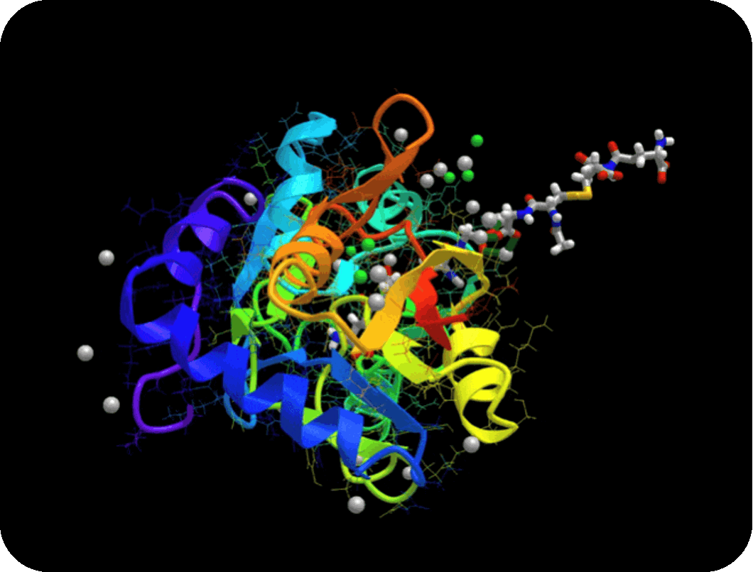 Regenerative Balance: Redox