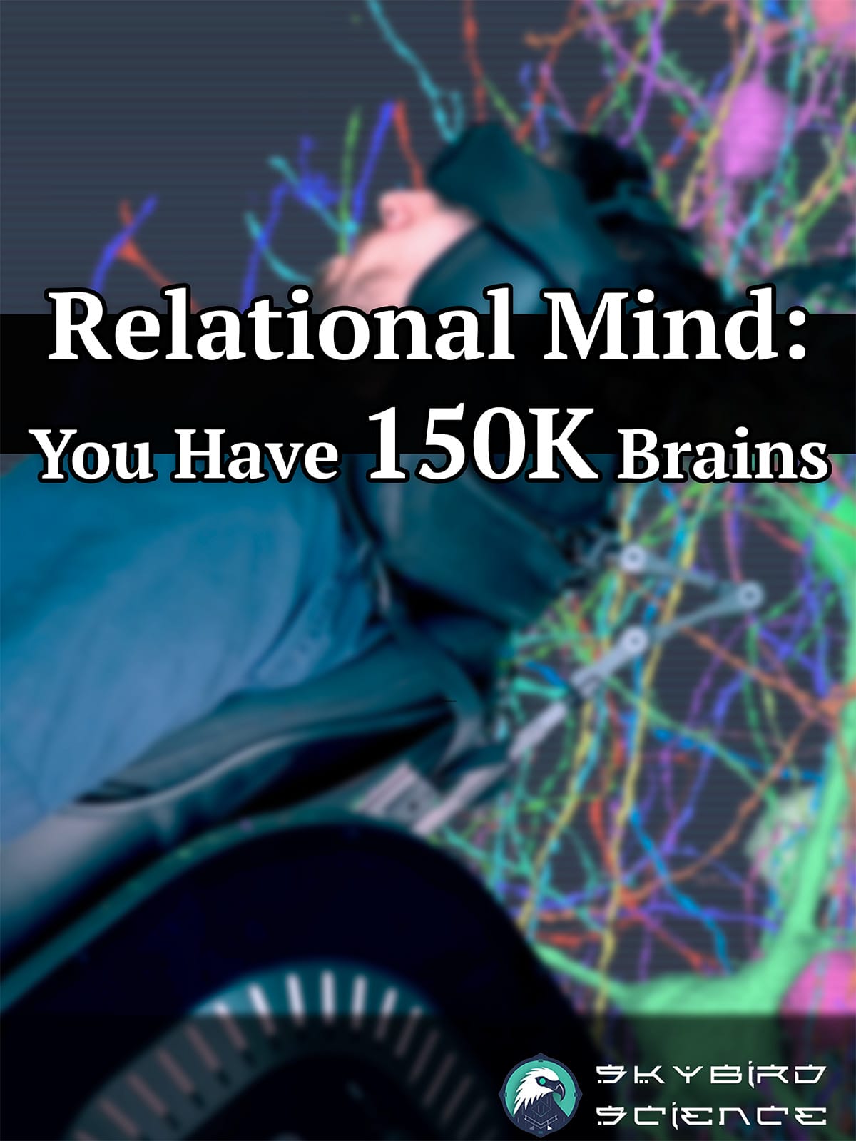 Relational Mind: How Brains Map People, Places, and Everything in Between