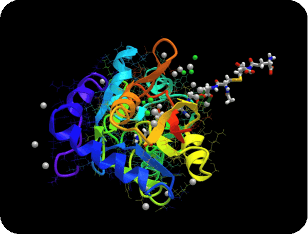Regenerative Balance: Redox