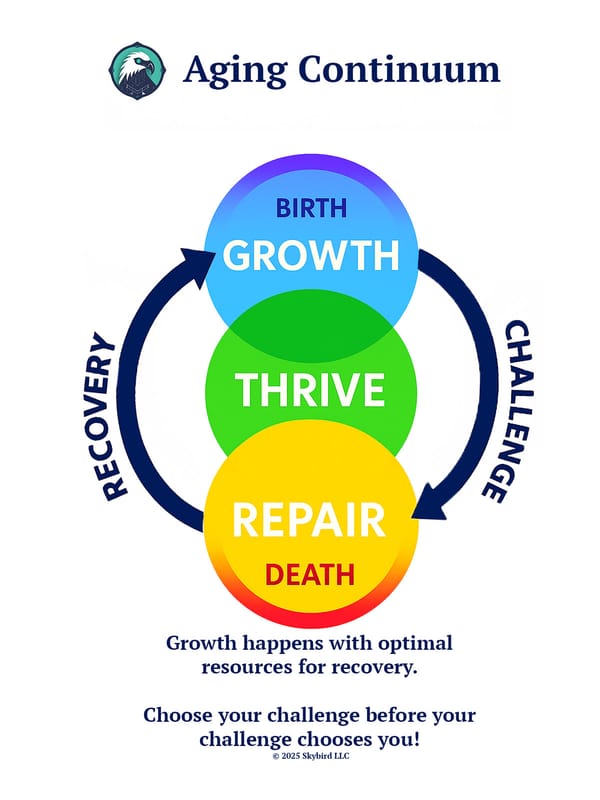 Achieve Optimum Balance