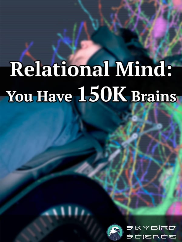 Relational Mind: How Brains Map People, Places, and Everything in Between
